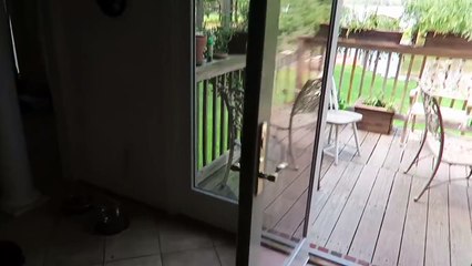 PetSafe Deluxe Patio Panel Pet Door Installation - www.petsafe.net