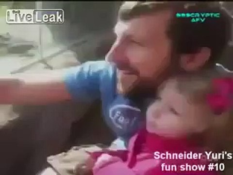 Momentos divertidos. Animales divertidos divierten