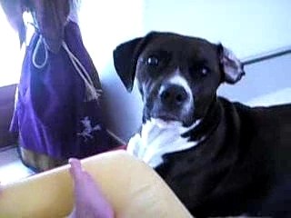 mimi c'est ma copine