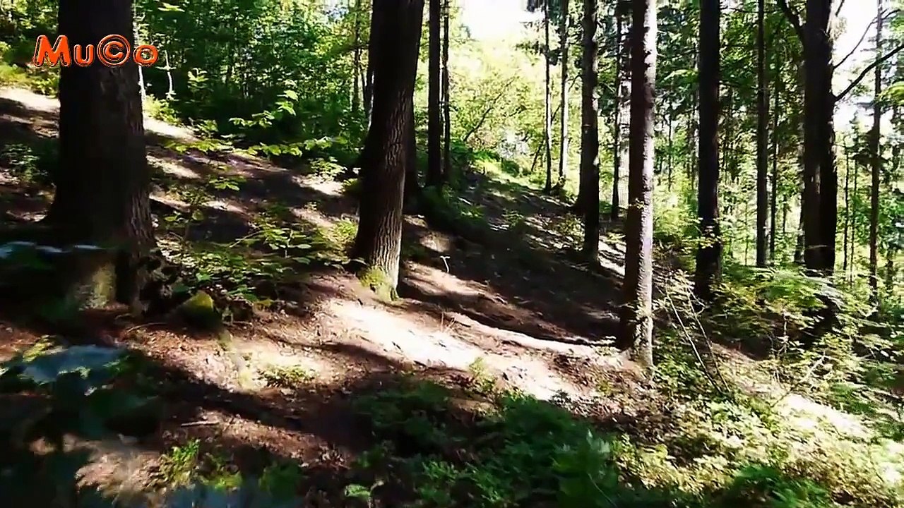 Ahmet Kaya - Yollarına Baka Baka (Nostaljik Şarkılar 2013 / HD) Mu©o