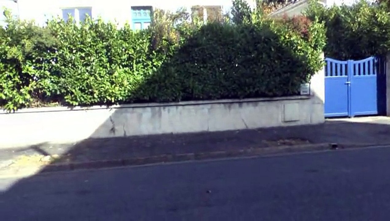 LES W-D.D. MICHOU NEWS - 23 OCTOBRE 2015 - PAU - MASSACRE AUSSI PROGRAMMÉ POUR RUE DE LOURDES AVE DE BEAUMONT ET DU BUISSON