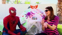 GIANT SURPRISE TOYS SPIDER WEB! Little Tikes Tunnel & Dome Climber ❤ Kids Surprise Eggs & Blind Bags