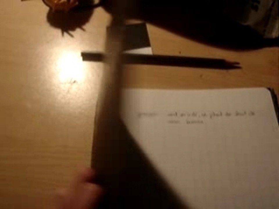 Death Note - La mort du poussin