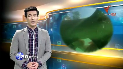 โลกธรรมชาติยุคใหม่ ตอน มหาสมุทร 14OCT15