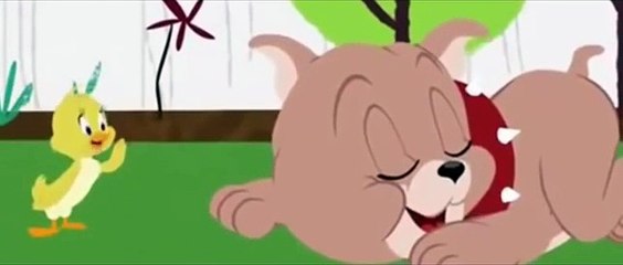Tom and Jerry cartoon Tom and Jerry in English 720p Cartoon Movies New Episode Dessin Anim