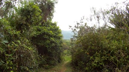 Caminhada da fé, nas praias em Ubatuba, SP, Brasil, Marcelo Ambrogi