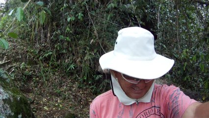 Caminhada da fé, nas praias em Ubatuba, SP, Brasil, Marcelo Ambrogi