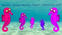 Sea Horse Finger Family Song Underwater Ocean Daddy Finger Nursery Rhymes Full animated ca