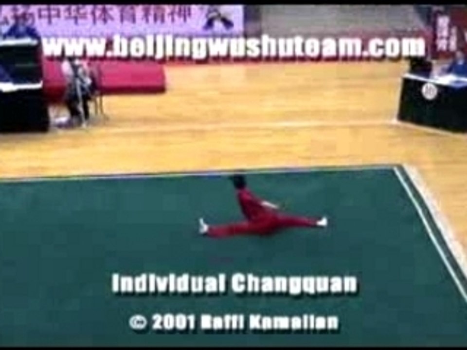 Wu shu