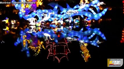 2015-10-23 Jardin en lumière