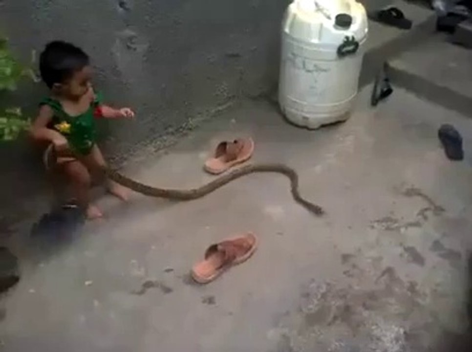 A child playing with snake