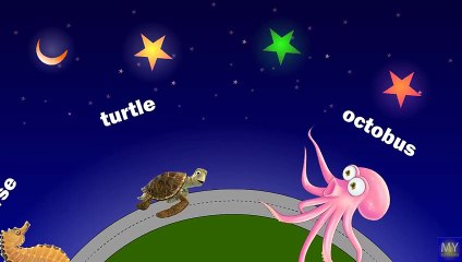 learn sea animals with names Full animated cartoon english 2015