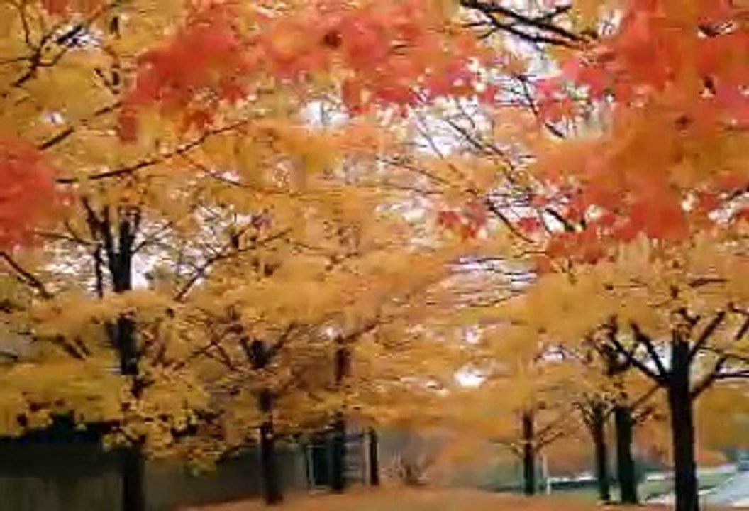 Tual - Yine Aylardan Kasim - YouTube