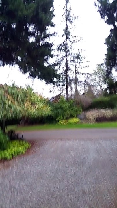 Une araignée utilise une pierre pour faire contre-poids et tisser sa toile... Insecte intelligent