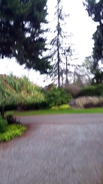 Une araignée utilise une pierre pour faire contre-poids et tisser sa toile... Insecte intelligent