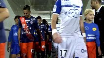 Montpellier 2-0 Bastia  - All goals and Highlights   24.10.2015