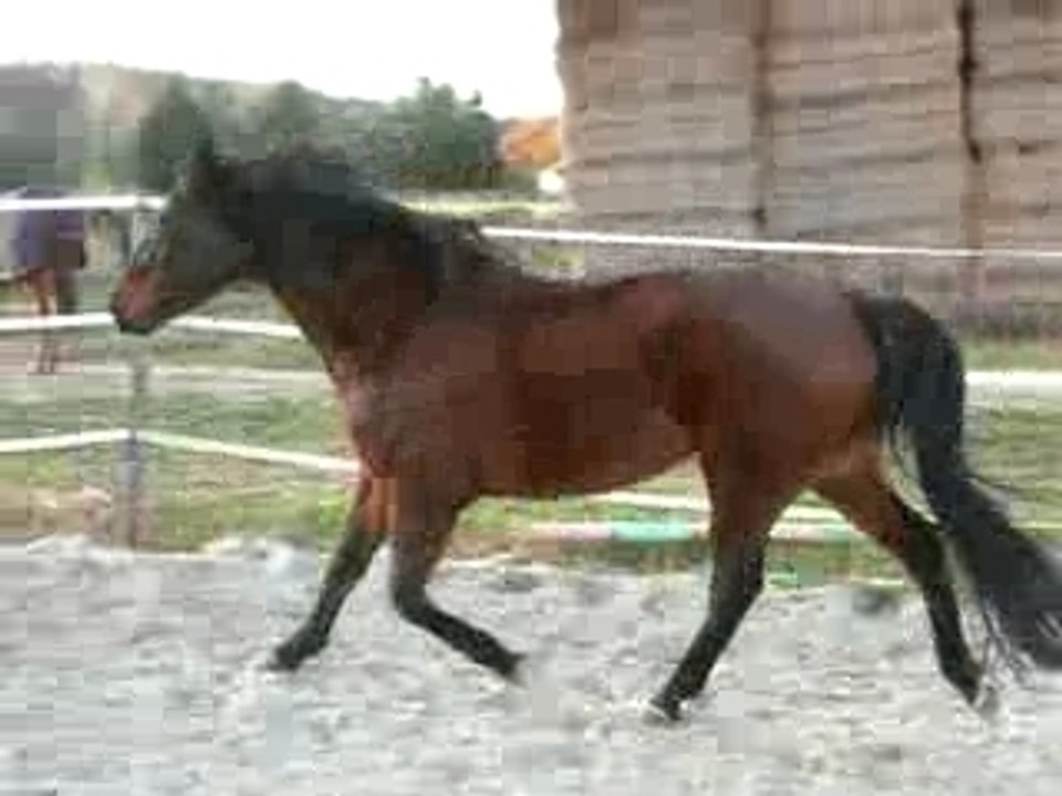 DSCN2471