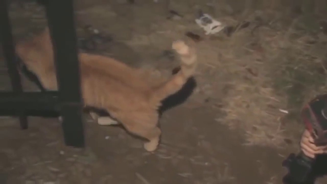 Funny videos Fails/Wins compilation September 2015 full video news TV