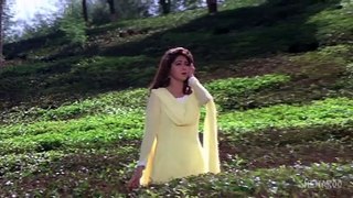Dil Deewana Dhoondh Raha Hai (Chand Ka Tukda) Full HD