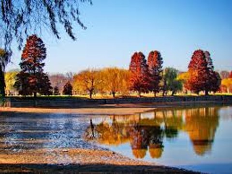 Memories of Herastrau Park, Bucharest-Romania.