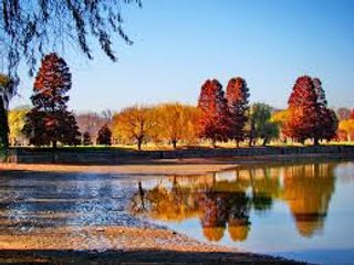 Memories of Herastrau Park, Bucharest-Romania.