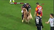 Puppies invade the pitch during Turkish football match