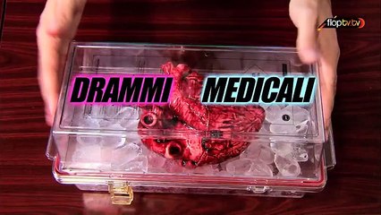 Drammi Medicali 3 - Episodio 4 - La Pineta Segreta