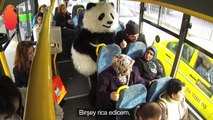 Panda gören masum teyzeler Hayrettin Akıllı HD