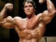 world fitness Arnold Schwarzenegger olympia bodybuilding motivation
