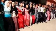 Govenda Zaroken Kurd - Kürt Cocuklari Halay Cekiyor