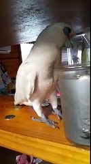 Rainy day boredom! 2015