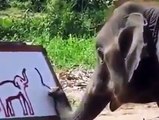 Elephant Drawing Elephant, Simply Amazing!!! 2015