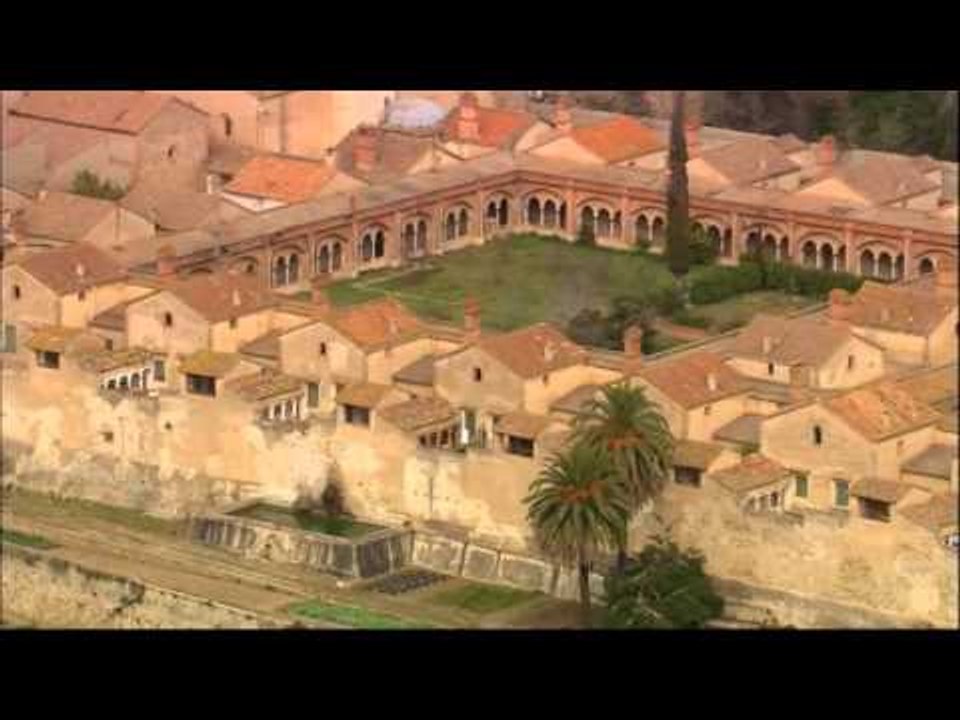 TV3 - Signes dels temps - Signes dels temps - capítol 1260