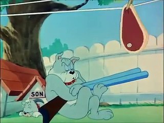 Tom And Jerry Cartoon - Love That Pup