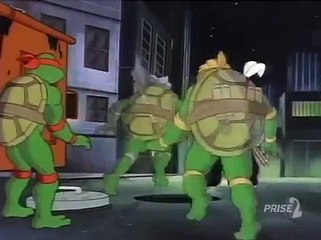 Tortues Ninja Les Chevaliers décaille S03E33 - Le Retour dUsagi