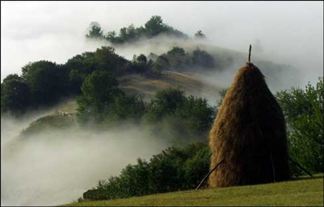 Padis,Apuseni Mountains-Romania