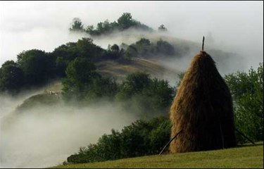 Padis,Apuseni Mountains-Romania
