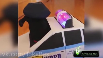 爆笑 痛い!ハプニング集 2015年爆笑大失敗動画ベスト