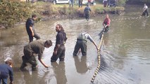 La LPO de Vendée fête ses 20 ans en vidant l'étang de la Brétinière