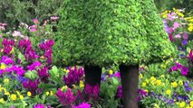 Frozen Anna and Elsa Topiary at Disneys Epcot Flower and Garden Festival 2015