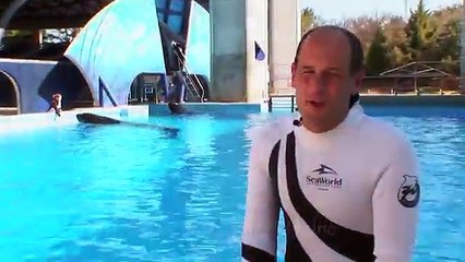 Short Documentary - SeaWorlds Believe