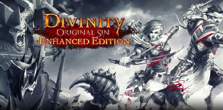 Divinity Original Sin: Enhanced Edition