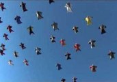 Skydivers Wing It to Break World Record