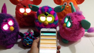 Furby, Furby boom, bébé Furby :  Furbling. Démo rapide, Furby et Siri
