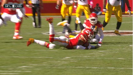 Instant Replay: Did Berry cleanly intercept it?
