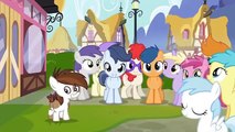My Little Pony FIM: Adventures Of The Cutie Mark Crusaders Twilight Meets Her Fans
