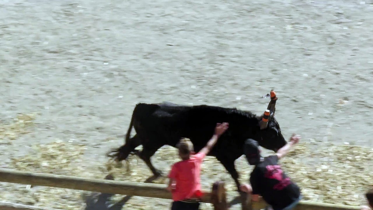 course de taureaux à AiguesMortes