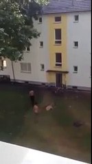 Flüchtlinge terrorisieren Deutsche in ihren Häusern - Danke CDU & SPD!