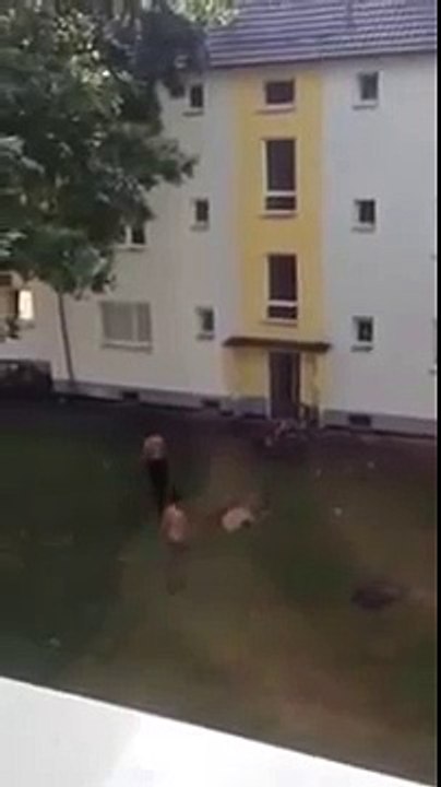 Flüchtlinge terrorisieren Deutsche in ihren Häusern - Danke CDU & SPD!