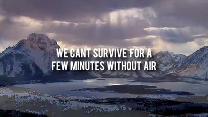 Learn How To Breathe ᴴᴰ - Powerful Reminder - Hamza Yusuf